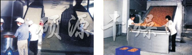 DW多层带式干燥机 DW多层带式干燥机