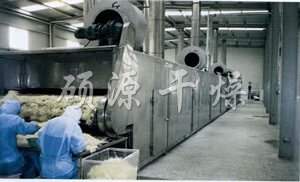 DWC系列脱水蔬菜带式干燥机