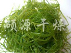 海藻（椰蓉）干燥生产线